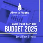 BUDGET 2025