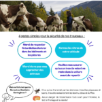 DERMATOSE NODULAIRE CONTAGIEUSE