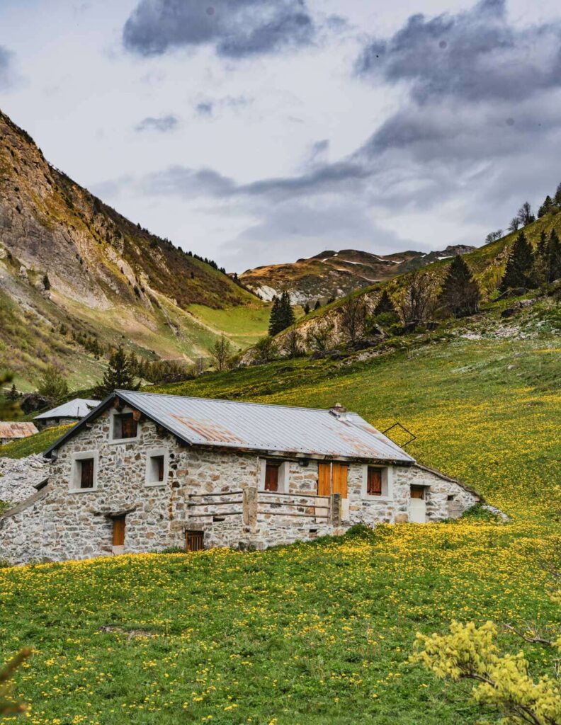 Une maison en pierre avec un toit en métal se trouve sur une colline verte couverte de fleurs sauvages jaunes, entourée de montagnes sous un ciel nuageux.