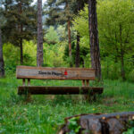Banc en bois avec le logo d'Aime-la-Plagne au milieu de la forêt, avec une souche d'arbre au premier plan