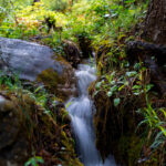 Ruisseau s'écoulant au milieu des rochers et d'une forêt