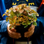 Enfant tenant un pot de fleur dans ses mains