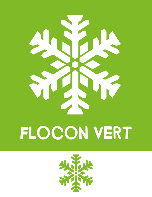 Logo Flocon Vert en couleur