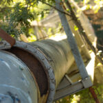 Large tuyau d'eau passant sur une structure métallique au milieu des arbres