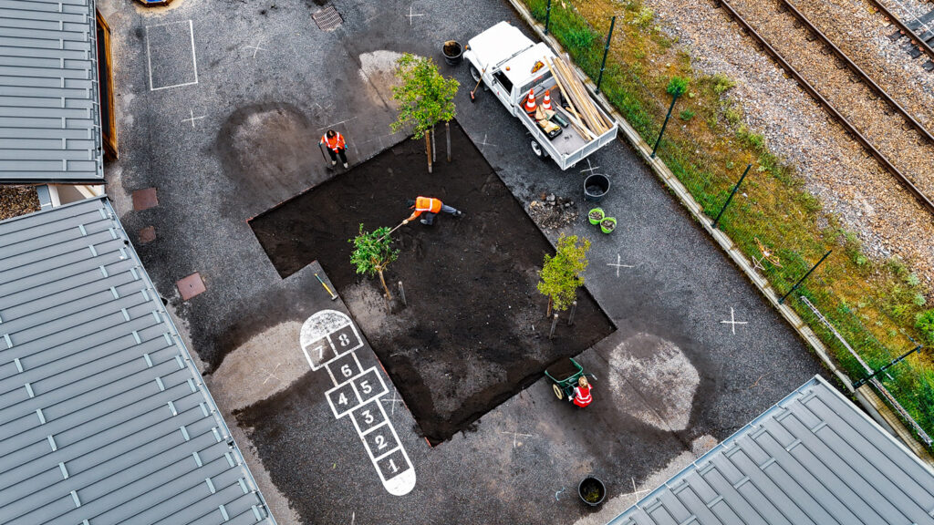 Plantation d'arbres dans la cour de l'école de Centron