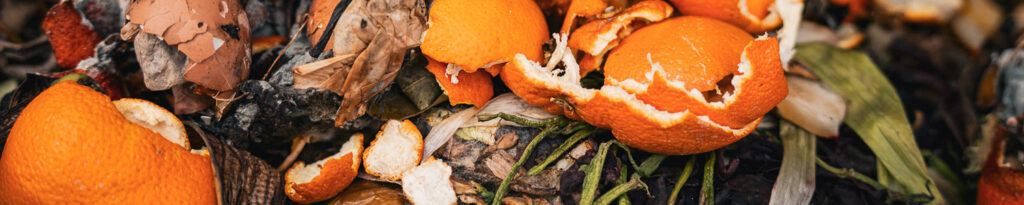 Photographie panoramique de compost