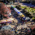 Vue aérienne des stands du marché de Noël d'Aime