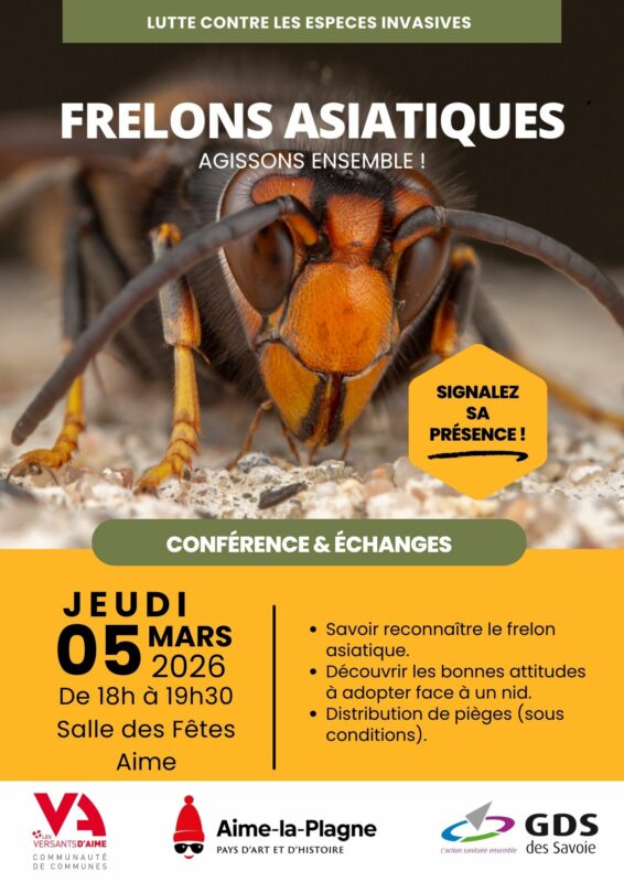 Affiche représentant un frelon asiatique. Document pour une conférence de sensibilisation 