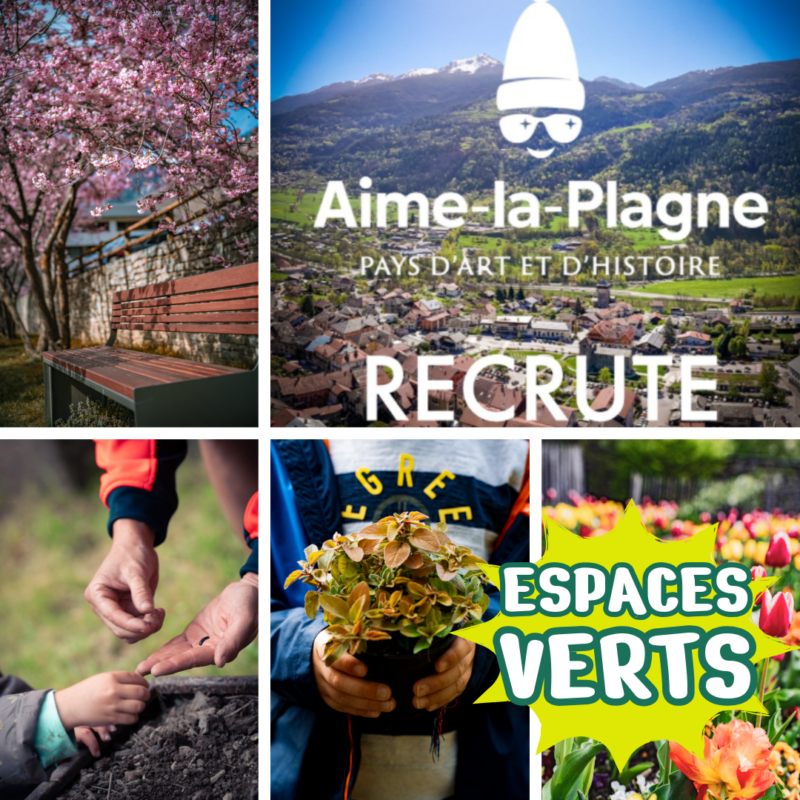 assemblage d'images montrant différentes actions réalisées par les espaces verts